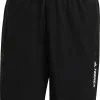 Adidas TERREX Liteflex Shorts Men, Sort 1 Adidas TERREX Liteflex Shorts Men, Sort -Campingtøj Butik adidas terrex liteflex shorts men black 1