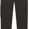 Dare 2b Absolute II Bukser Herrer, Sort -Campingtøj Butik dare 2b absolute ii pants men black 8 1