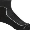 Icebreaker Hike+ Str&oslash;mper Damer, Violet/r&oslash;d -Campingtøj Butik icebreaker hike light mini socks women jet heather 1 2
