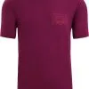 Icebreaker Tech Lite II Mountain Sunset SS Tee Men, Violet -Campingtøj Butik icebreaker tech lite ii mountain sunset ss tee men go berry 3 1
