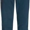 Jack Wolfskin Active Track Pants Men, Grøn 1 Jack Wolfskin Active Track Pants Men, Grøn -Campingtøj Butik jack wolfskin active track pants men dark sea 4