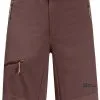 Jack Wolfskin Ziegspitz Shorts Men, Gr&oslash;n -Campingtøj Butik jack wolfskin ziegspitz shorts men atacama red 5 1