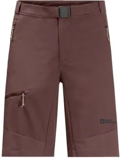 Jack Wolfskin Ziegspitz Shorts Men, Gr&oslash;n