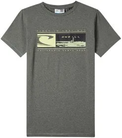 O'Neill O'Neill Hybrid Surf T-Shirt Boys, Gr&aring;
