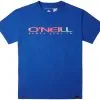 O'Neill O'Neill Sanborn T-Shirt Boys, Hvid 2 O'Neill O'Neill Sanborn T-Shirt Boys, Hvid -Campingtøj Butik oneill sanborn t shirt boys princess blue 2