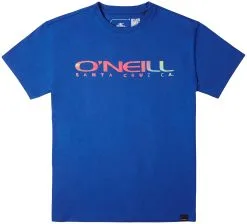 O'Neill O'Neill Sanborn T-Shirt Boys, Hvid