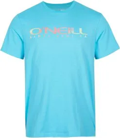 O'Neill O'Neill Sanborn T-Shirt Men, Gul