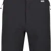 Regatta Mountain II Shorts Men, Bl&aring;