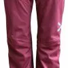 Zimtstern Saentiz Bukser Damer, Rød 1 Zimtstern Saentiz Bukser Damer, Rød -Campingtøj Butik zimtstern saentiz pants women windsor wine 2
